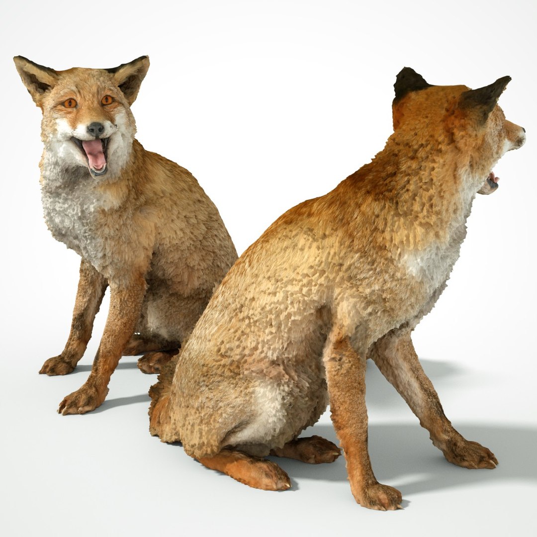 Animal Scanned Unity Model - TurboSquid 1171934