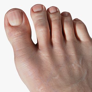 Foot Realistic VRAY Zbrush