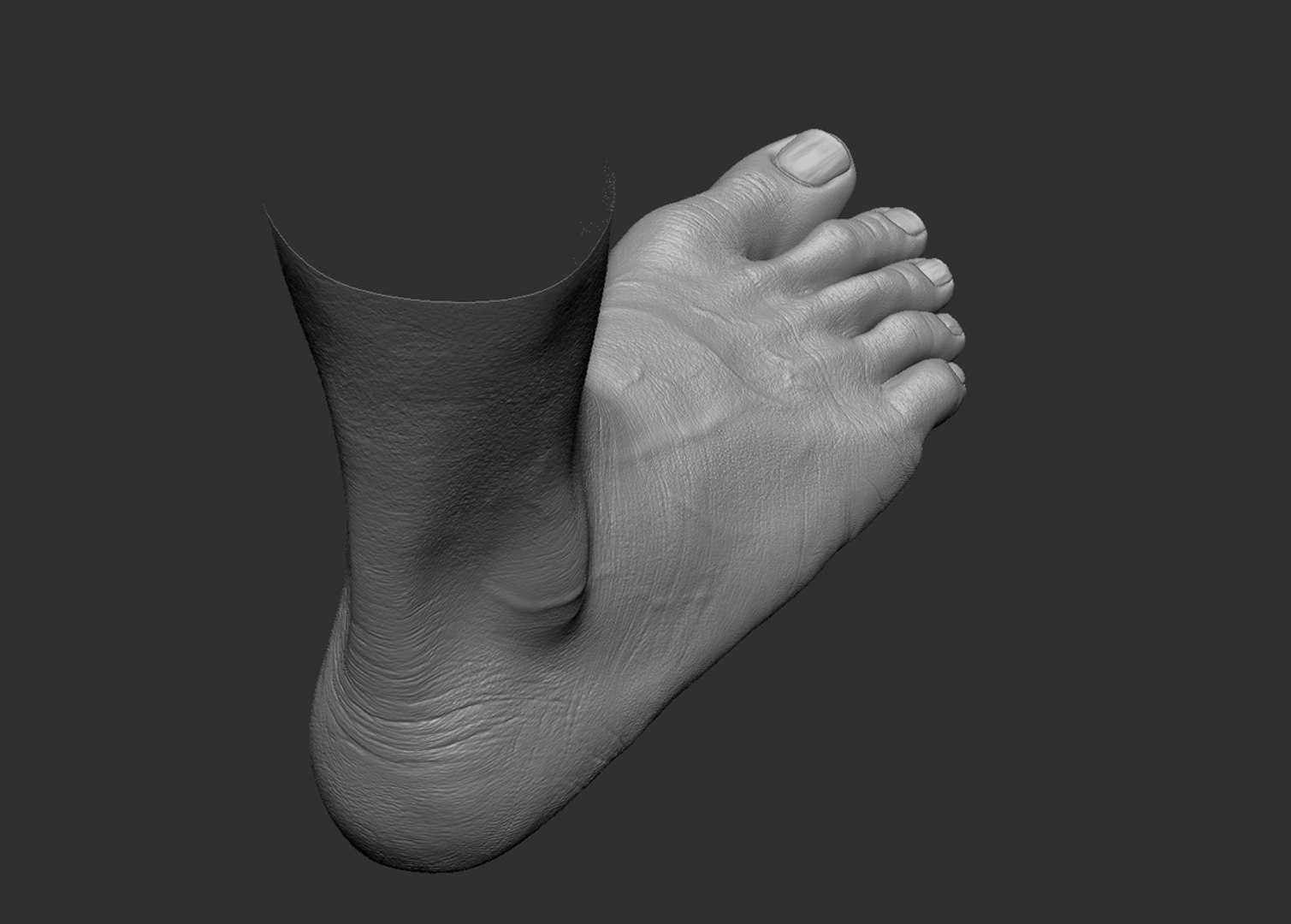 Foot realistic 3D model - TurboSquid 1693733
