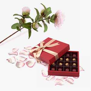 Camellia Flower with Chocolate Box Collection