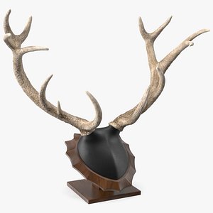 3D Red Deer Stag Antlers on a Pedestal model