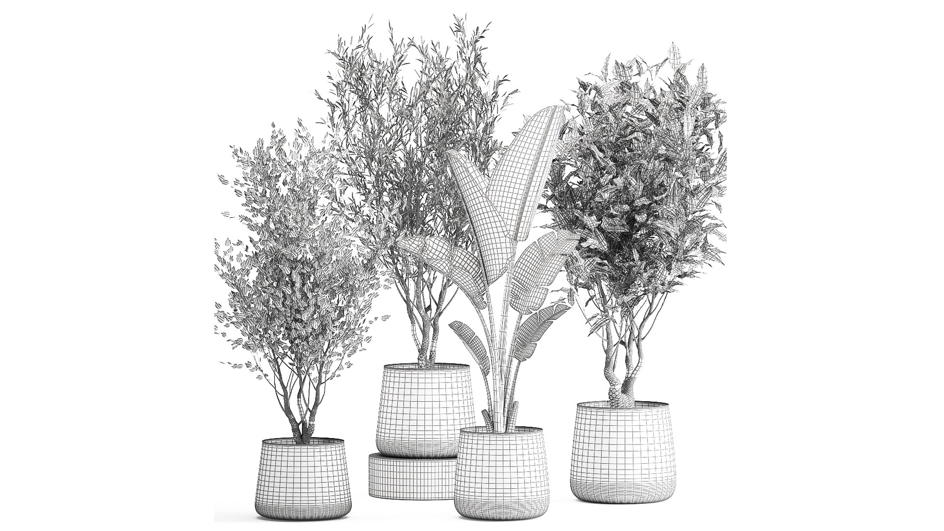 Houseplants in a flowerpot for the interior 949 model https://p.turbosquid.com/ts-thumb/Yr/sjyLkw/Bz/1plants2804202109/jpg/1619694972/1920x1080/fit_q87/14dc1554d7d46433bad1db73f01f1551340679d4/1plants2804202109.jpg
