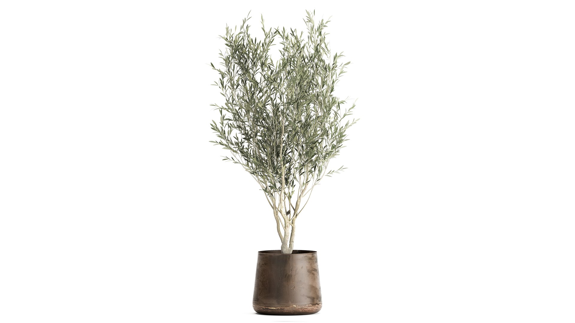 Houseplants in a flowerpot for the interior 949 model https://p.turbosquid.com/ts-thumb/Yr/sjyLkw/Yt/1plants2804202103/jpg/1619694965/1920x1080/fit_q87/d7df1dd1d288da77440a96081d6fd81c19b6b7b4/1plants2804202103.jpg