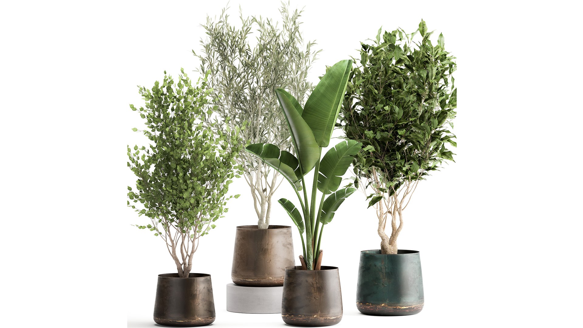 Houseplants in a flowerpot for the interior 949 model https://p.turbosquid.com/ts-thumb/Yr/sjyLkw/hW/1plants2804202101/jpg/1619694971/1920x1080/fit_q87/ff8fe487e3c5ba1ad50ed68be2d0e622fb849e0d/1plants2804202101.jpg