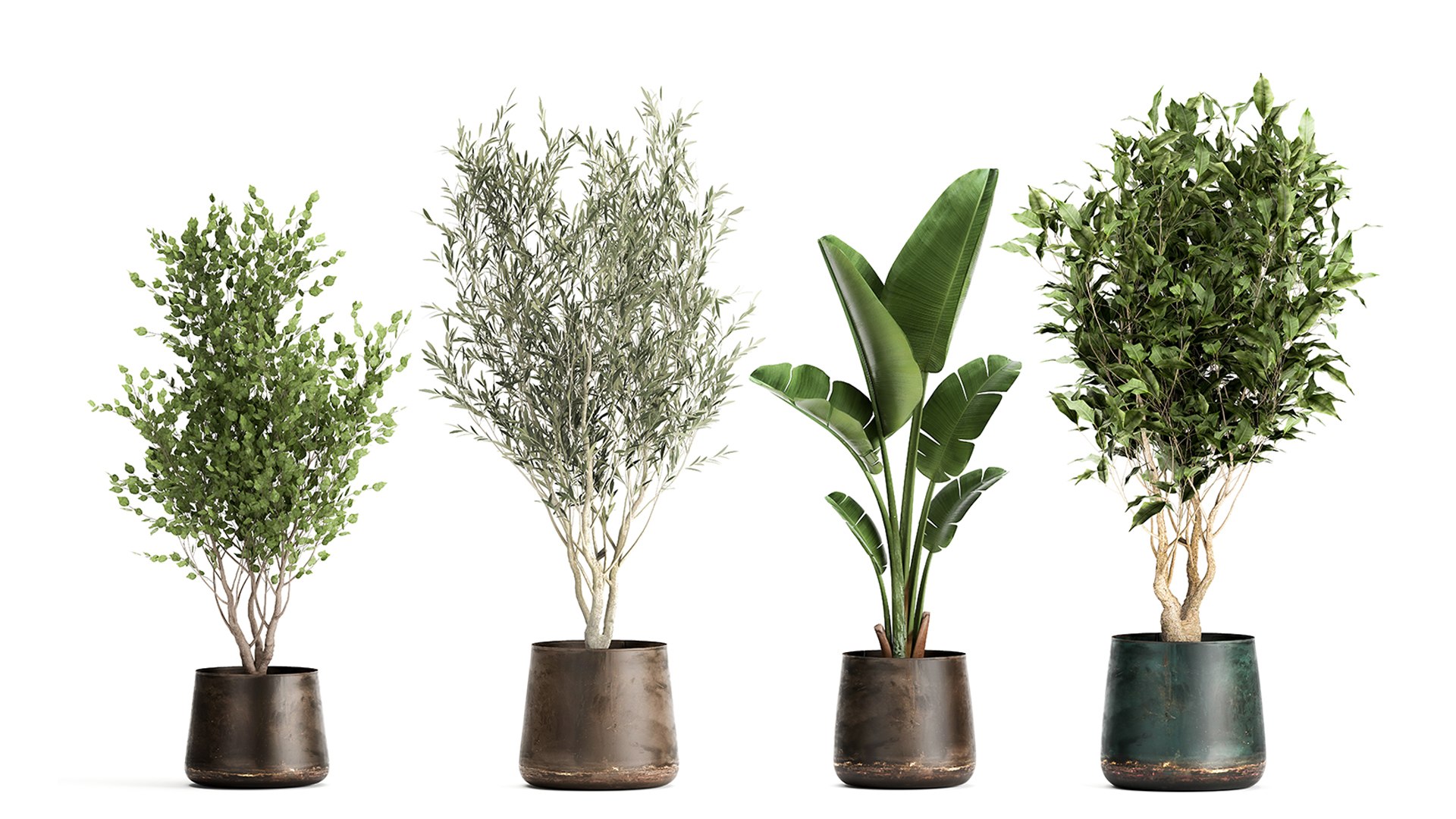 Houseplants in a flowerpot for the interior 949 model https://p.turbosquid.com/ts-thumb/Yr/sjyLkw/zQ/1plants2804202106/jpg/1619694969/1920x1080/fit_q87/c0e82ea71bc6822e4575b6f45eca1cef43ef20d6/1plants2804202106.jpg