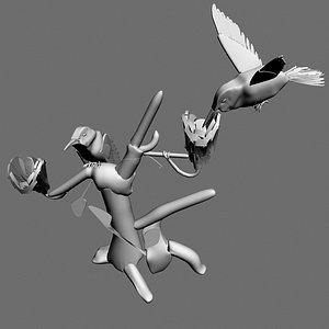 HUMMING BIRDS.MAX