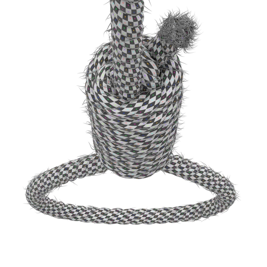 3D model rope https://p.turbosquid.com/ts-thumb/Ys/IMswic/7tnvQl7Y/noose18/png/1534245364/1920x1080/fit_q87/6f861cebaef39b1f19261e365d4aaa6bdf230adf/noose18.jpg