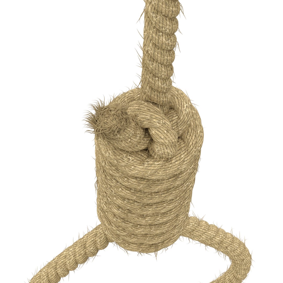 3D model rope https://p.turbosquid.com/ts-thumb/Ys/IMswic/8iSXpdsi/noose07/png/1534245363/1920x1080/fit_q87/a19ab7d5f3afaf7cc01f68dfcc12a91338009ba8/noose07.jpg