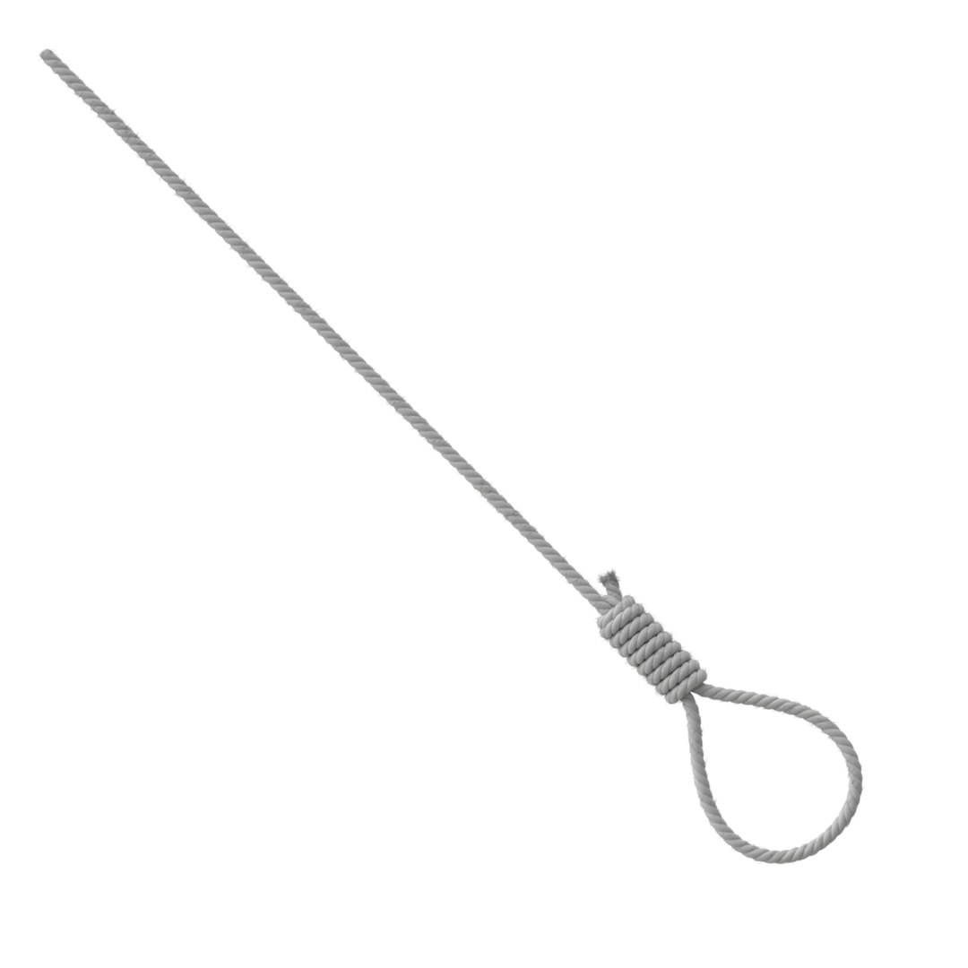 3D model rope https://p.turbosquid.com/ts-thumb/Ys/IMswic/AlJkbTDq/noose15/png/1534245364/1920x1080/fit_q87/e3516ea0d9a296a0e13729f1b1678de618c1f09a/noose15.jpg