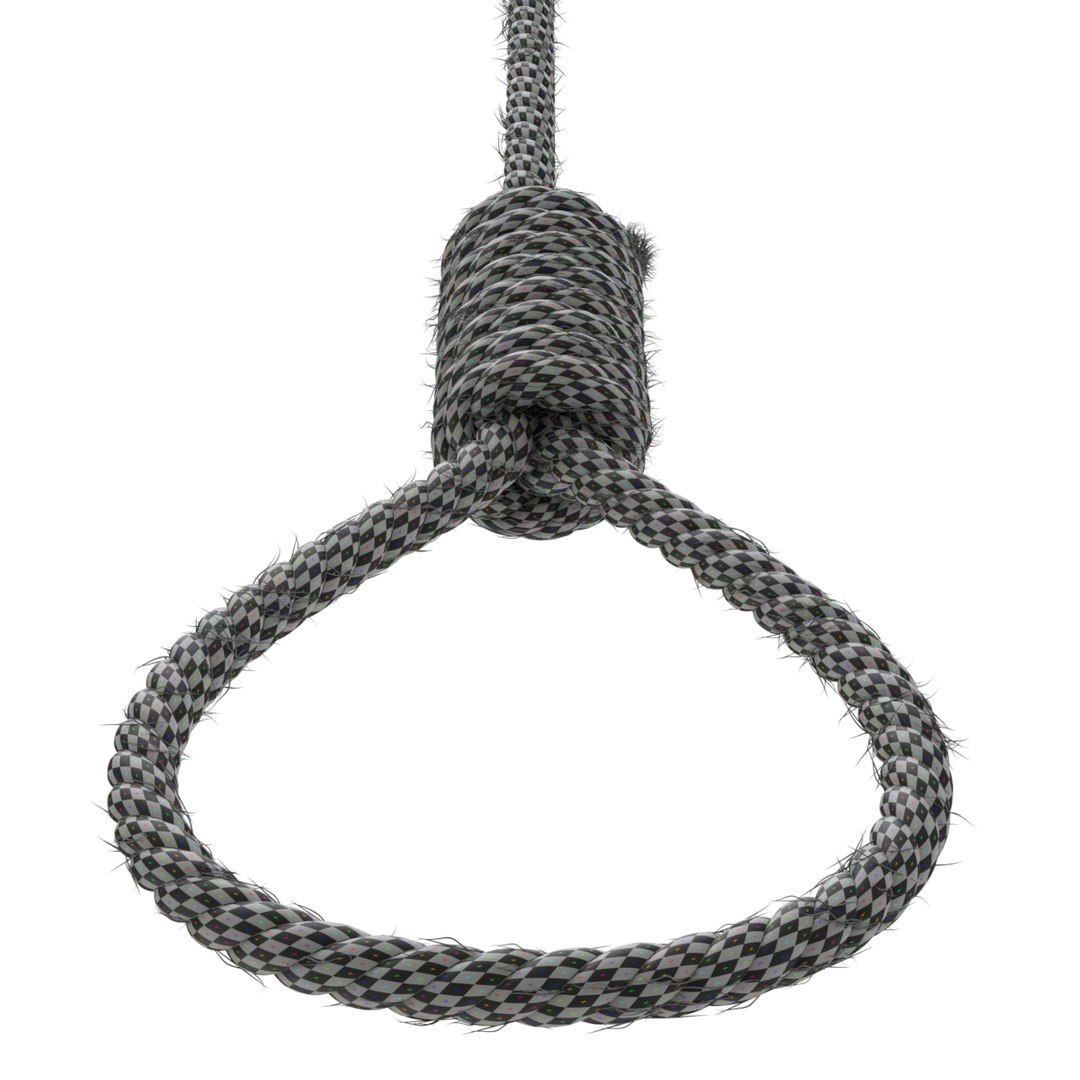 3D model rope https://p.turbosquid.com/ts-thumb/Ys/IMswic/Eml4wA6b/noose17/png/1534245364/1920x1080/fit_q87/85096d26ea4c39ef27e7556e9b33a1d98715065a/noose17.jpg