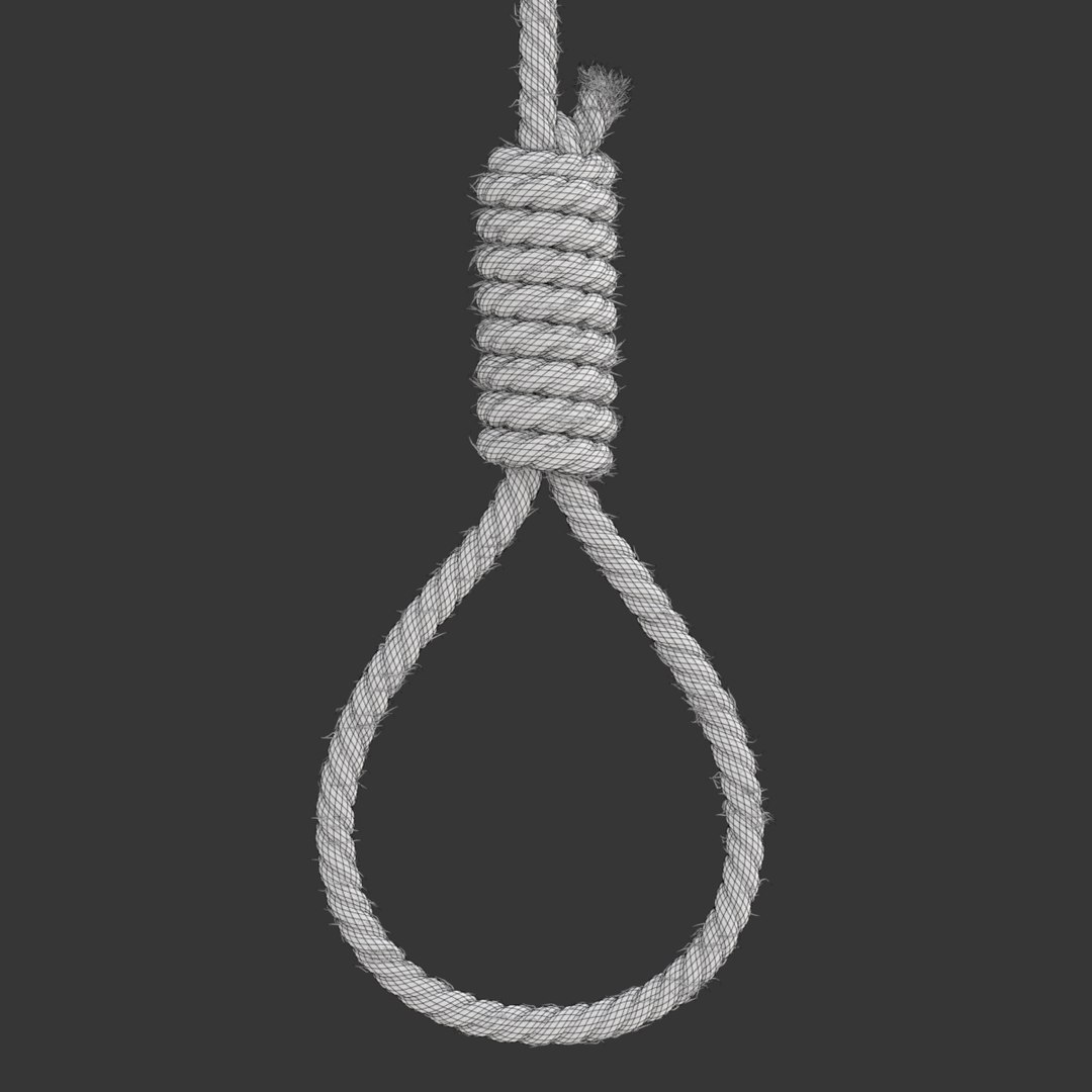 3D model rope https://p.turbosquid.com/ts-thumb/Ys/IMswic/KPA5A3os/noosewireframe06/png/1534245364/1920x1080/fit_q87/d953ea66dfb927bf7c5ec884523fade3a06eb680/noosewireframe06.jpg
