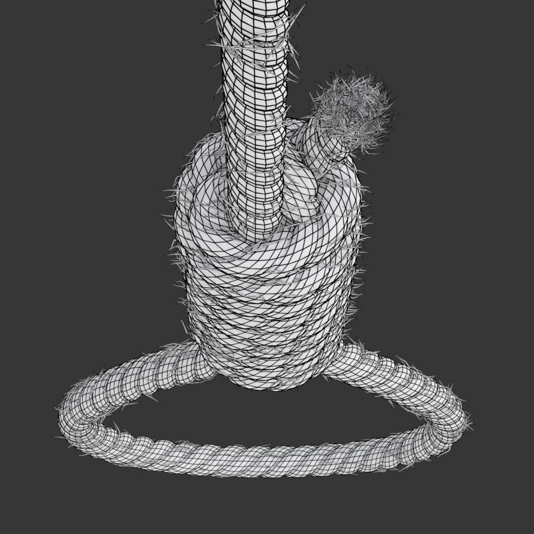 3D model rope https://p.turbosquid.com/ts-thumb/Ys/IMswic/LDXobj4m/noosewireframe04/png/1534245364/1920x1080/fit_q87/6c20deb442a7708f7b3ad6b3377bfbef332e71de/noosewireframe04.jpg