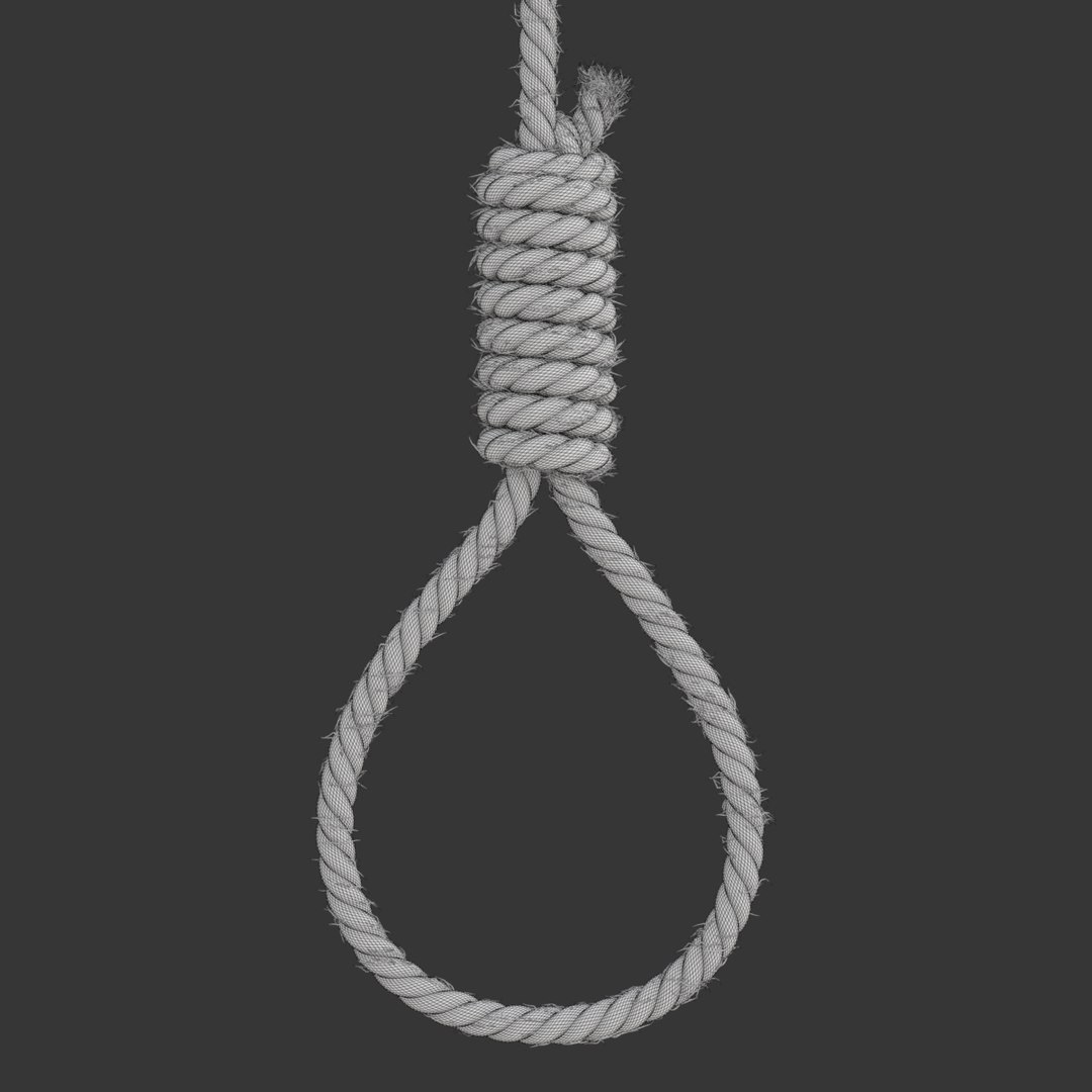 3D model rope https://p.turbosquid.com/ts-thumb/Ys/IMswic/PrXzJtQL/noosewireframe07/png/1534245364/1920x1080/fit_q87/a5924128327e0dd9c771418d1374de73facb6e67/noosewireframe07.jpg