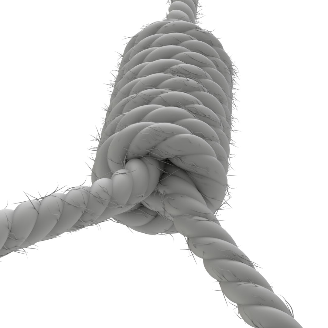 3D model rope https://p.turbosquid.com/ts-thumb/Ys/IMswic/SMfjYtM2/noose14/png/1534245364/1920x1080/fit_q87/2e79712427a164a42f1d6b85d12d31b5c8a39035/noose14.jpg