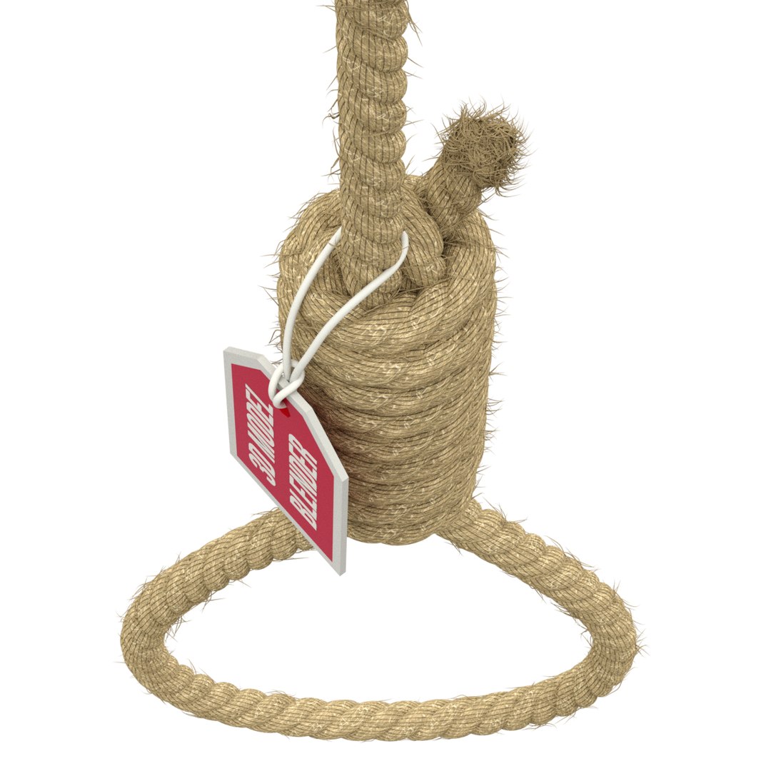 3D model rope https://p.turbosquid.com/ts-thumb/Ys/IMswic/UZHsklEj/noose03/png/1534245363/1920x1080/fit_q87/9354c3467024b51366edbb282e59781f5bea0390/noose03.jpg