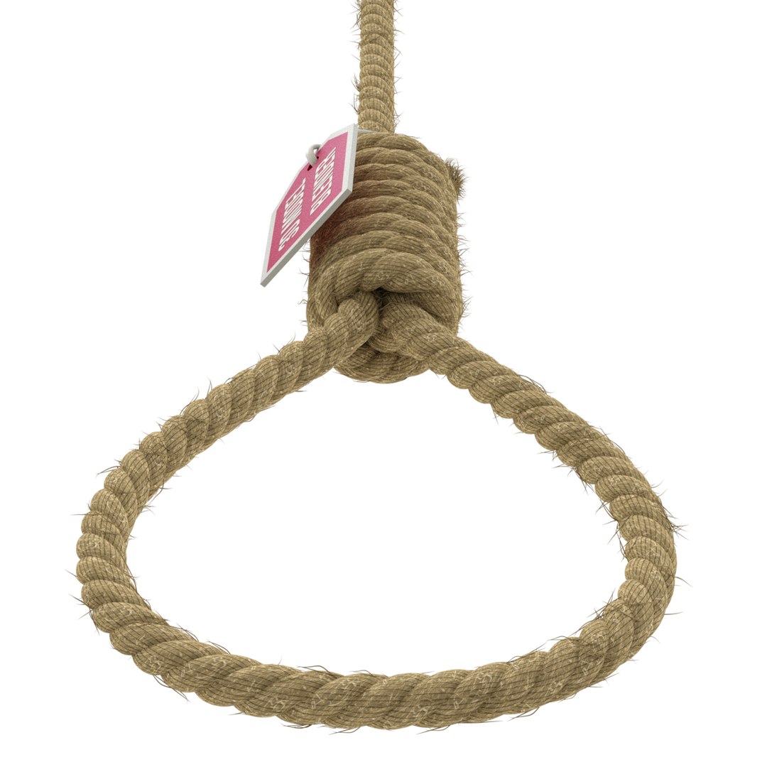 3D model rope https://p.turbosquid.com/ts-thumb/Ys/IMswic/YHDvSyy0/noose02/png/1534245363/1920x1080/fit_q87/5a2f1179e2ba31c92af97a99c566c2c76e9979d7/noose02.jpg