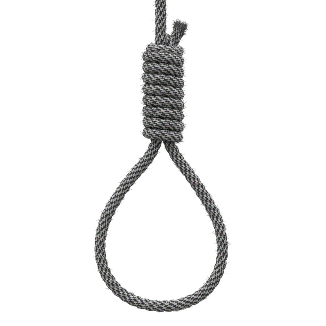 3D model rope https://p.turbosquid.com/ts-thumb/Ys/IMswic/anzqQkxV/noose16/png/1534245364/1920x1080/fit_q87/05a078ee7d1a4b7fc83ca21993757e5a247fb331/noose16.jpg