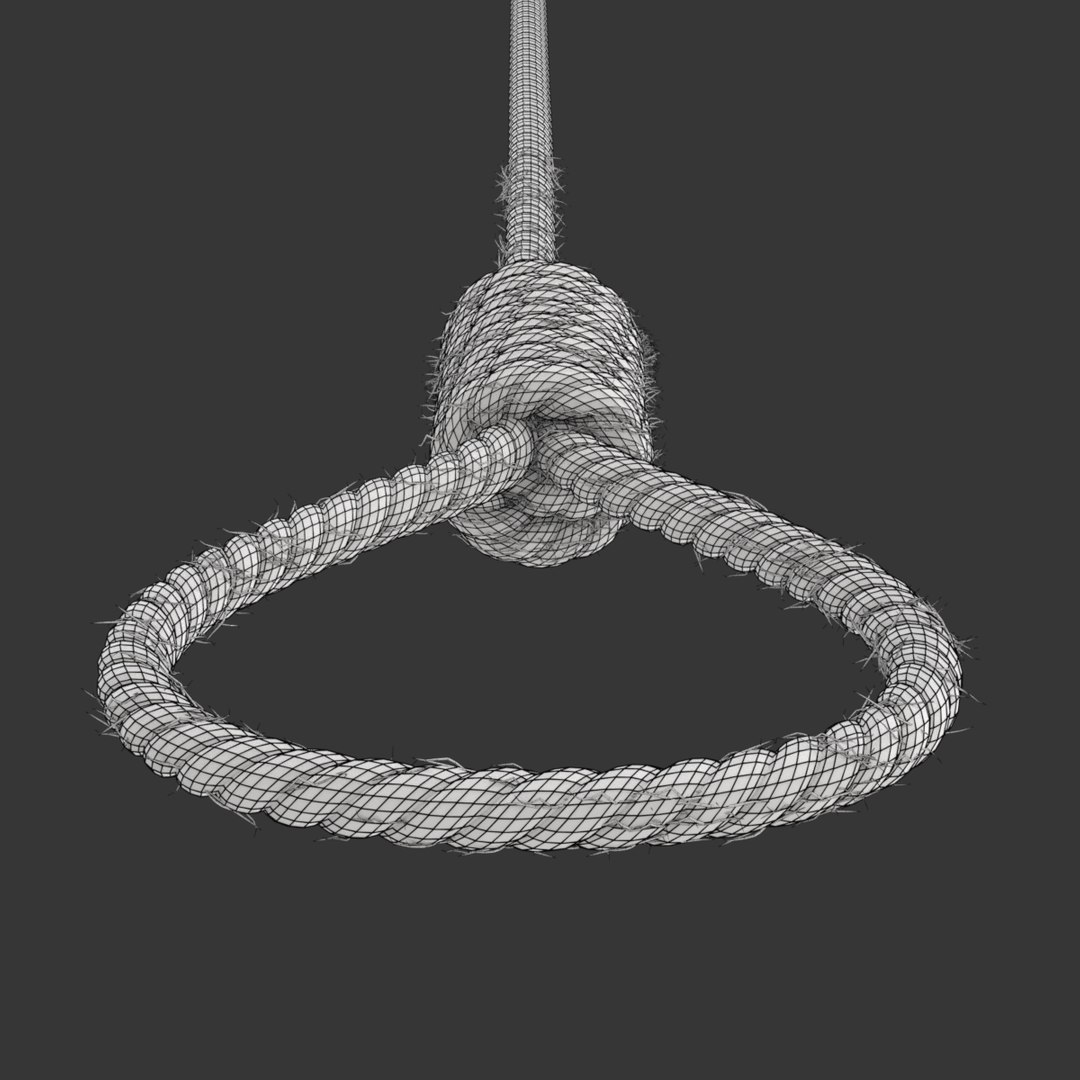 3D model rope https://p.turbosquid.com/ts-thumb/Ys/IMswic/fFcYLCSg/noosewireframe05/png/1534245364/1920x1080/fit_q87/6755c42bdadab071e3c6787ab040382f0d88997a/noosewireframe05.jpg