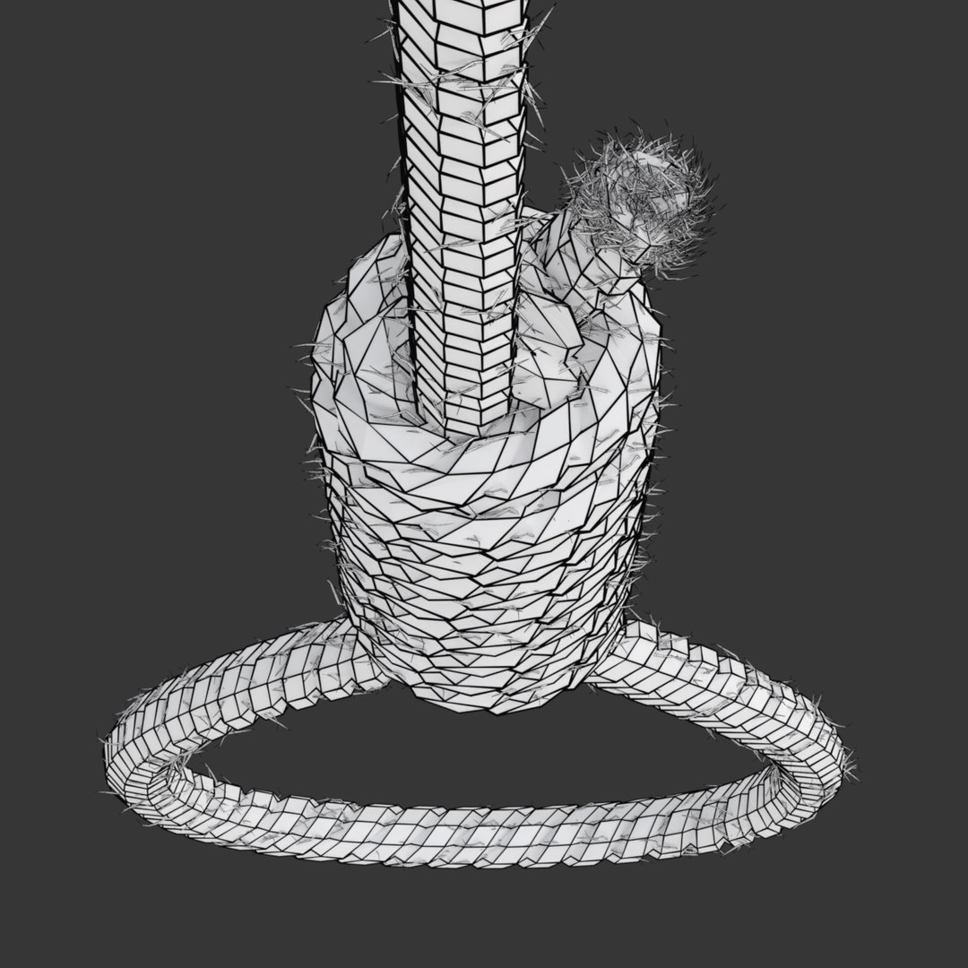 3D model rope https://p.turbosquid.com/ts-thumb/Ys/IMswic/jQmkwAe4/noosewireframe03/png/1534245364/1920x1080/fit_q87/80e93135906fee3202dec57af6ea0c185d66734a/noosewireframe03.jpg