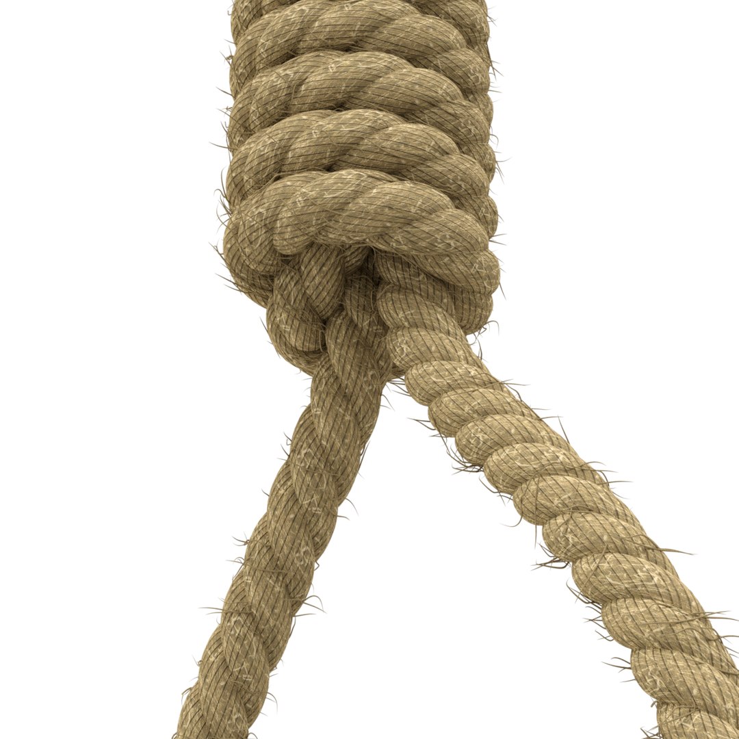 3D model rope https://p.turbosquid.com/ts-thumb/Ys/IMswic/sfPJwEuV/noose06/png/1534245363/1920x1080/fit_q87/0f5424b0adb1c67b962127ff06aa7d19e6a13395/noose06.jpg