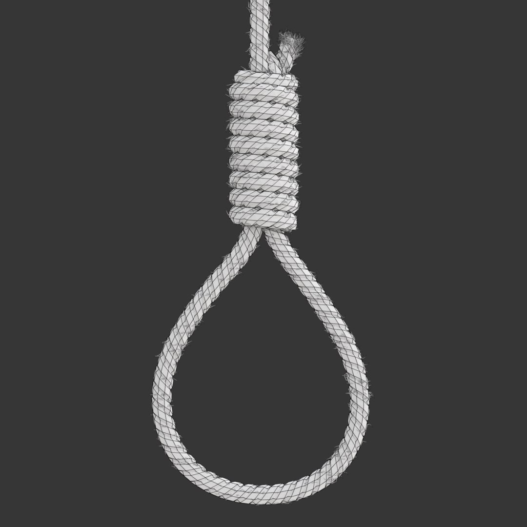 3D model rope https://p.turbosquid.com/ts-thumb/Ys/IMswic/t9kS0bc5/noosewireframe01/png/1534245364/1920x1080/fit_q87/f191514493b805cd6f267114c10400c405015cce/noosewireframe01.jpg