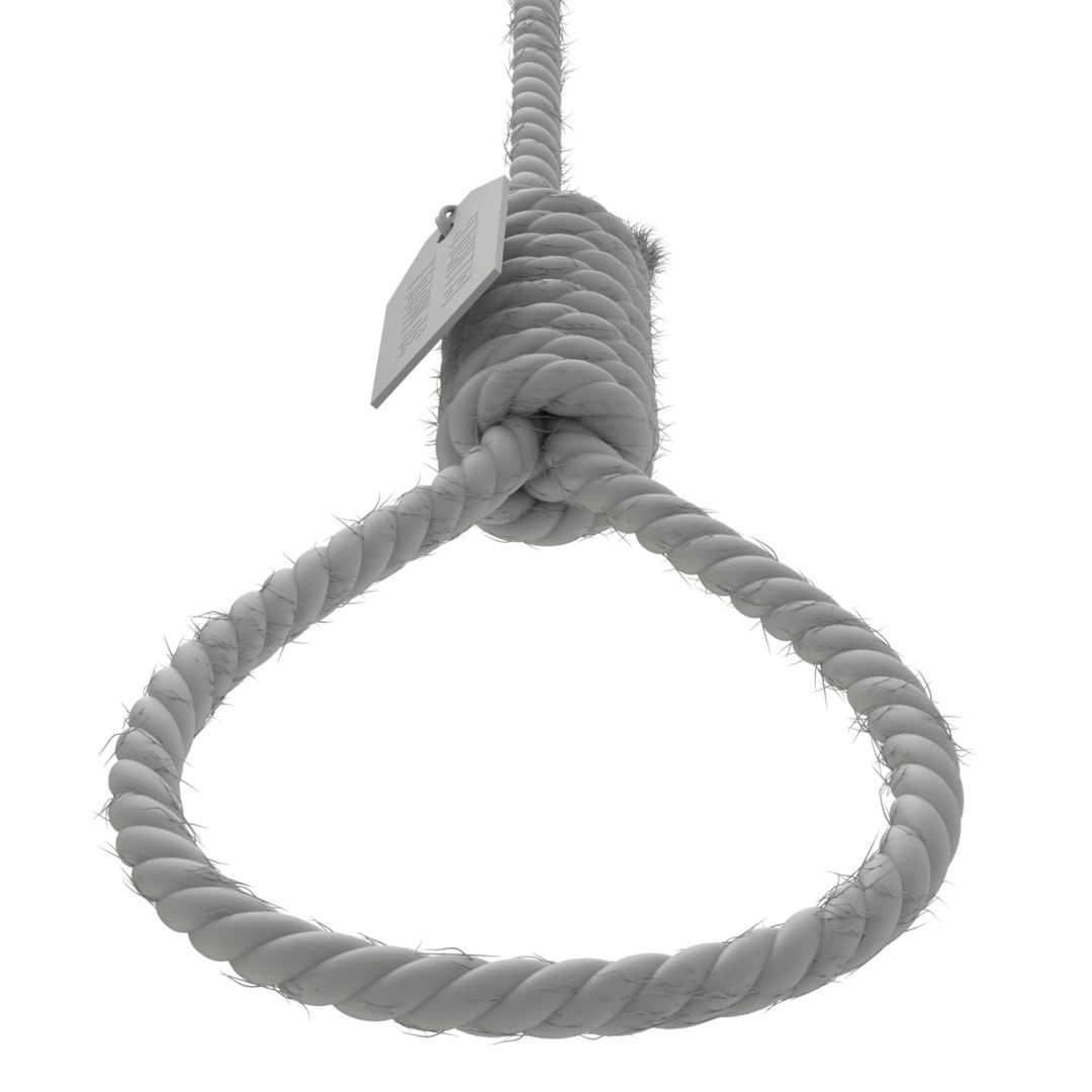 3D model rope https://p.turbosquid.com/ts-thumb/Ys/IMswic/ykxxTmul/noose11/png/1534245363/1920x1080/fit_q87/b15230bce360dd1123f5904d323a5bc848859506/noose11.jpg