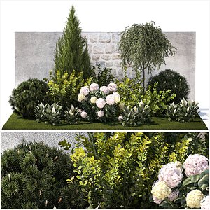 Garden Spathiphyllum Thuja Hydrangea Berberis 1399 3D model