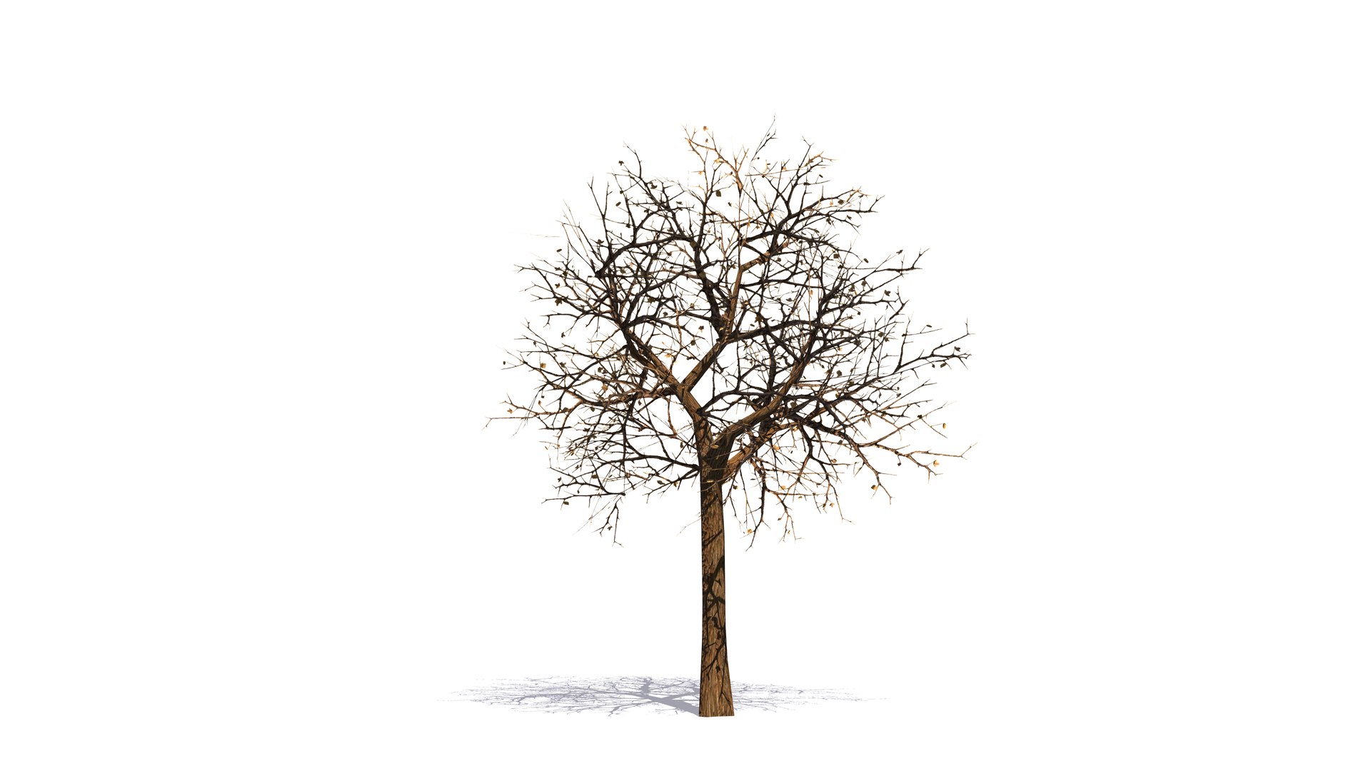 Plant Vegetation Low Poly Game Ready model https://p.turbosquid.com/ts-thumb/Ys/ZMNRio/0e/shrivelledgamereadytreeasset/jpg/1670695537/1920x1080/fit_q87/d2b6715763c4cee54b78880c5e6e3a12e93f3107/shrivelledgamereadytreeasset.jpg