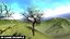 Plant Vegetation Low Poly Game Ready