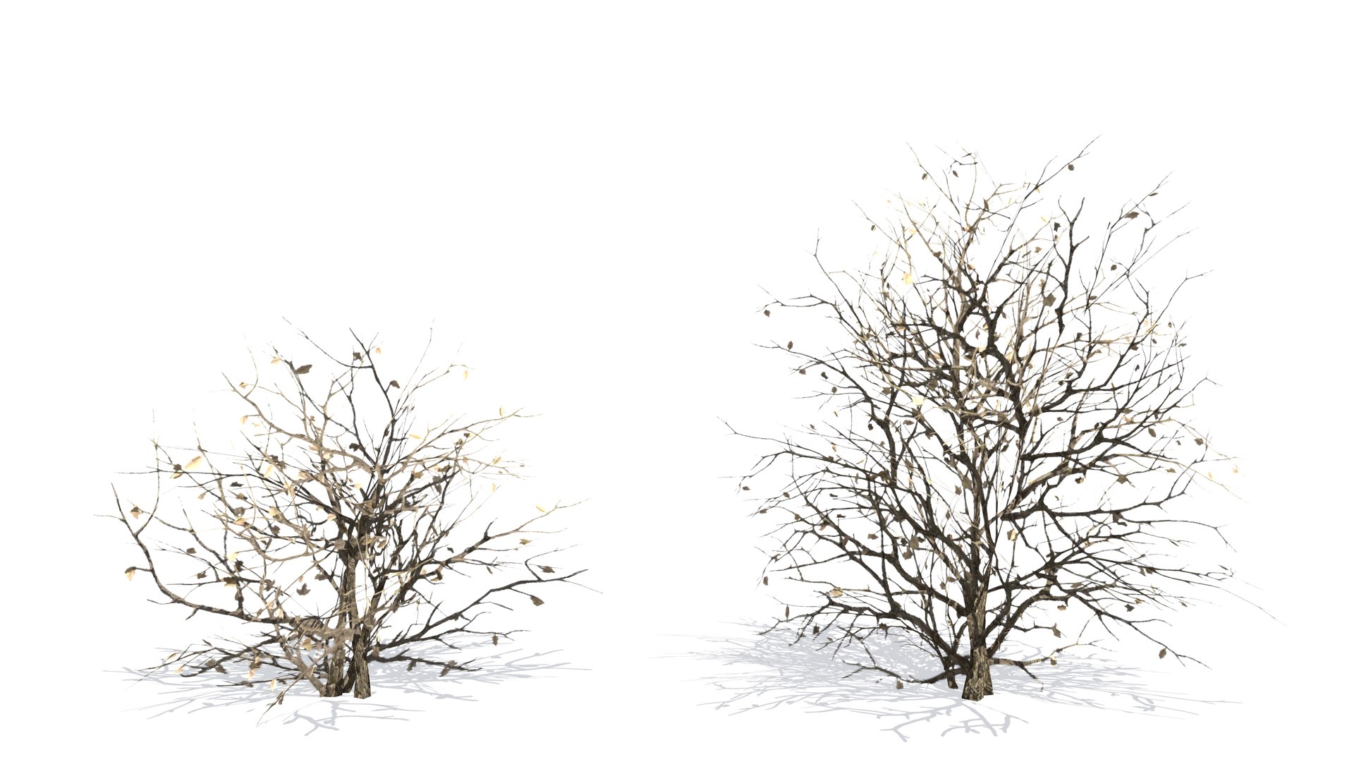 Plant Vegetation Low Poly Game Ready model https://p.turbosquid.com/ts-thumb/Ys/ZMNRio/Ft/lowpolybushgameready/jpg/1670695577/1920x1080/fit_q87/b598b6322065f48a2515d4f882e415107263e1e2/lowpolybushgameready.jpg