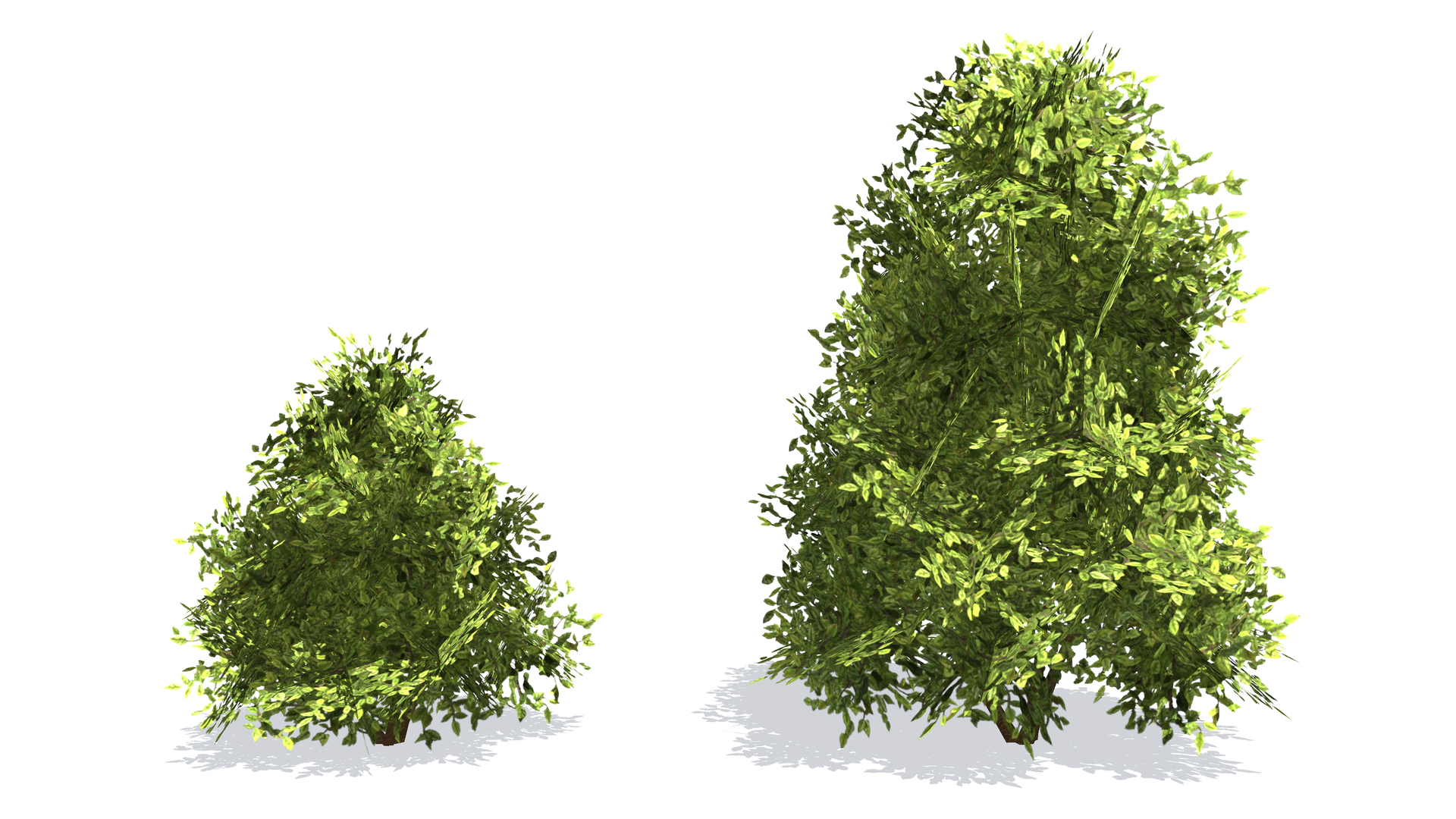 Plant Vegetation Low Poly Game Ready model https://p.turbosquid.com/ts-thumb/Ys/ZMNRio/K2/lowpolygamereadybush/png/1670700217/1920x1080/turn_fit_q99/3803fada631329f6878c1072eac4272cbe106ef8/lowpolygamereadybush-1.jpg