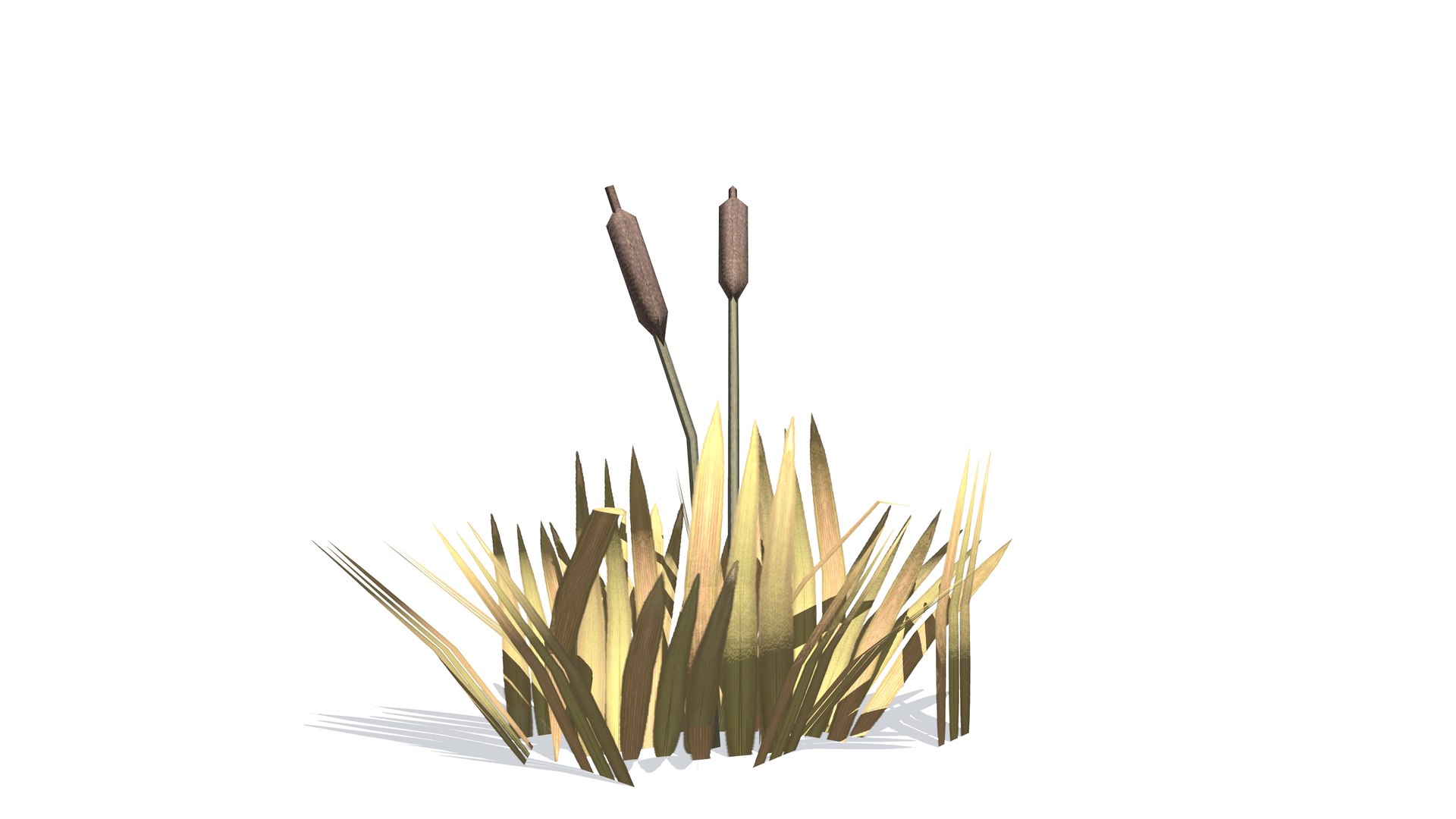 Plant Vegetation Low Poly Game Ready model https://p.turbosquid.com/ts-thumb/Ys/ZMNRio/Nz/gamereadylowpolyswampmodel/jpg/1670695558/1920x1080/fit_q87/eb8764ee2ac7440c10d90c9b409f49907d7b7d84/gamereadylowpolyswampmodel.jpg