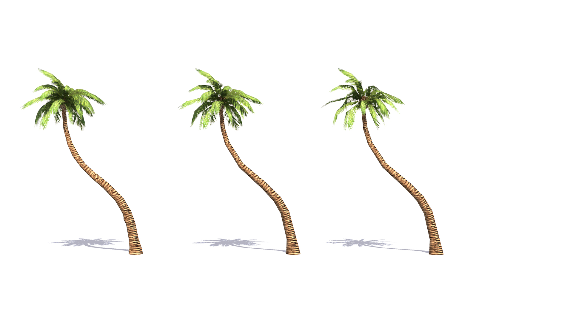 Plant Vegetation Low Poly Game Ready model https://p.turbosquid.com/ts-thumb/Ys/ZMNRio/Pd/lowpolygamereadypalm/png/1670701178/1920x1080/turn_fit_q99/6948fa4a62ef1694bceb9b393575cdcd708f075e/lowpolygamereadypalm-1.jpg