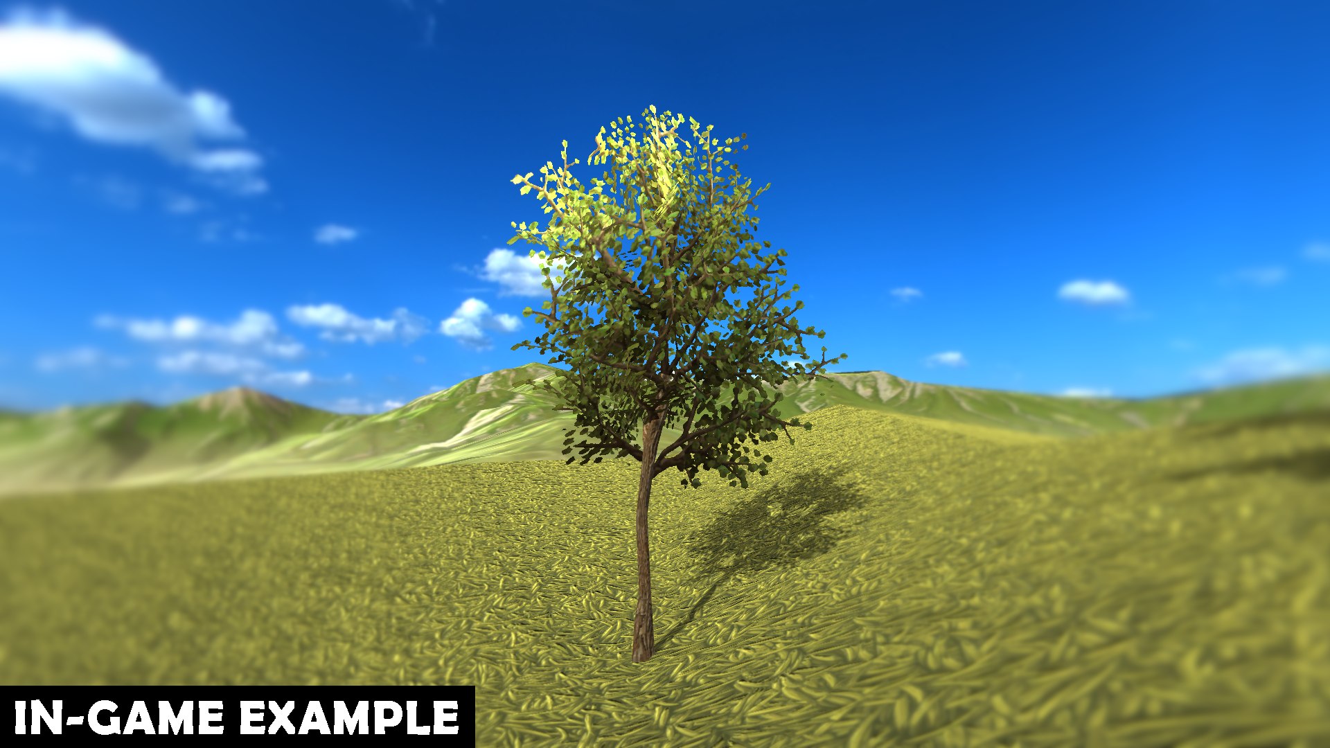 Plant Vegetation Low Poly Game Ready model https://p.turbosquid.com/ts-thumb/Ys/ZMNRio/fS/gamereadytree/png/1670764898/1920x1080/fit_q87/a58a2a6c77cdacdddab236f9c22901a22ae7824c/gamereadytree.jpg
