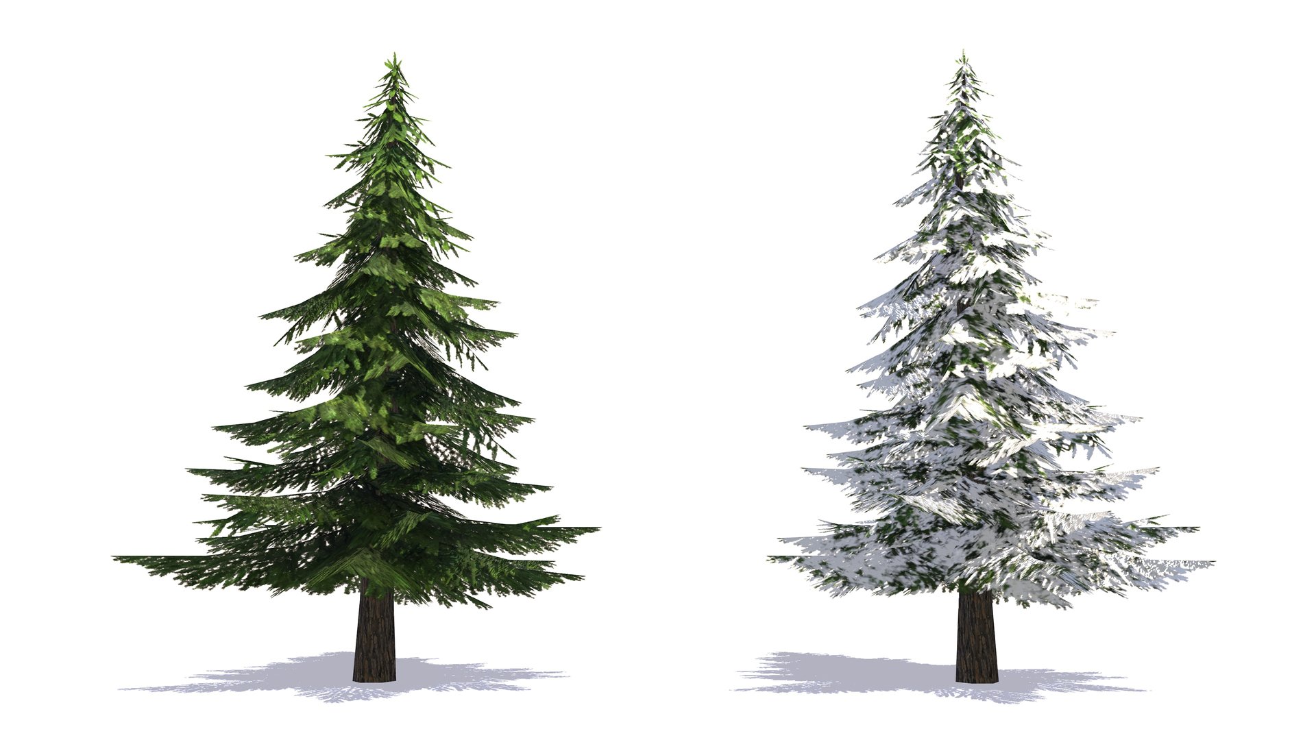 Plant Vegetation Low Poly Game Ready model https://p.turbosquid.com/ts-thumb/Ys/ZMNRio/fg/lowpolygamereadyfir/jpg/1670699492/1920x1080/turn_fit_q99/bd13c470d23509c21c9021cffd733b4c5ed681c4/lowpolygamereadyfir-1.jpg