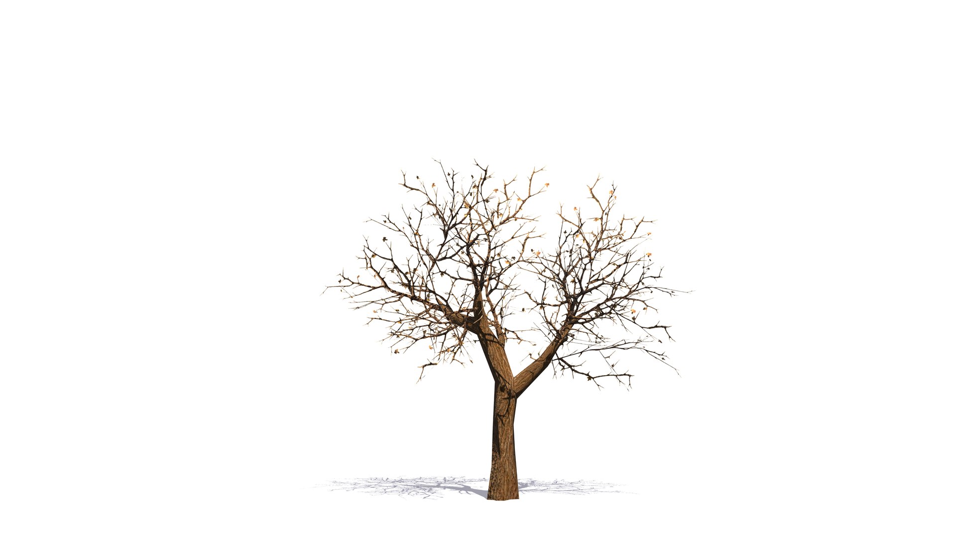 Plant Vegetation Low Poly Game Ready model https://p.turbosquid.com/ts-thumb/Ys/ZMNRio/hS/shrivelledlowpolytreeasset/jpg/1670695542/1920x1080/fit_q87/ab59e1d345a52f5a2207a1be495748ae6d840a66/shrivelledlowpolytreeasset.jpg