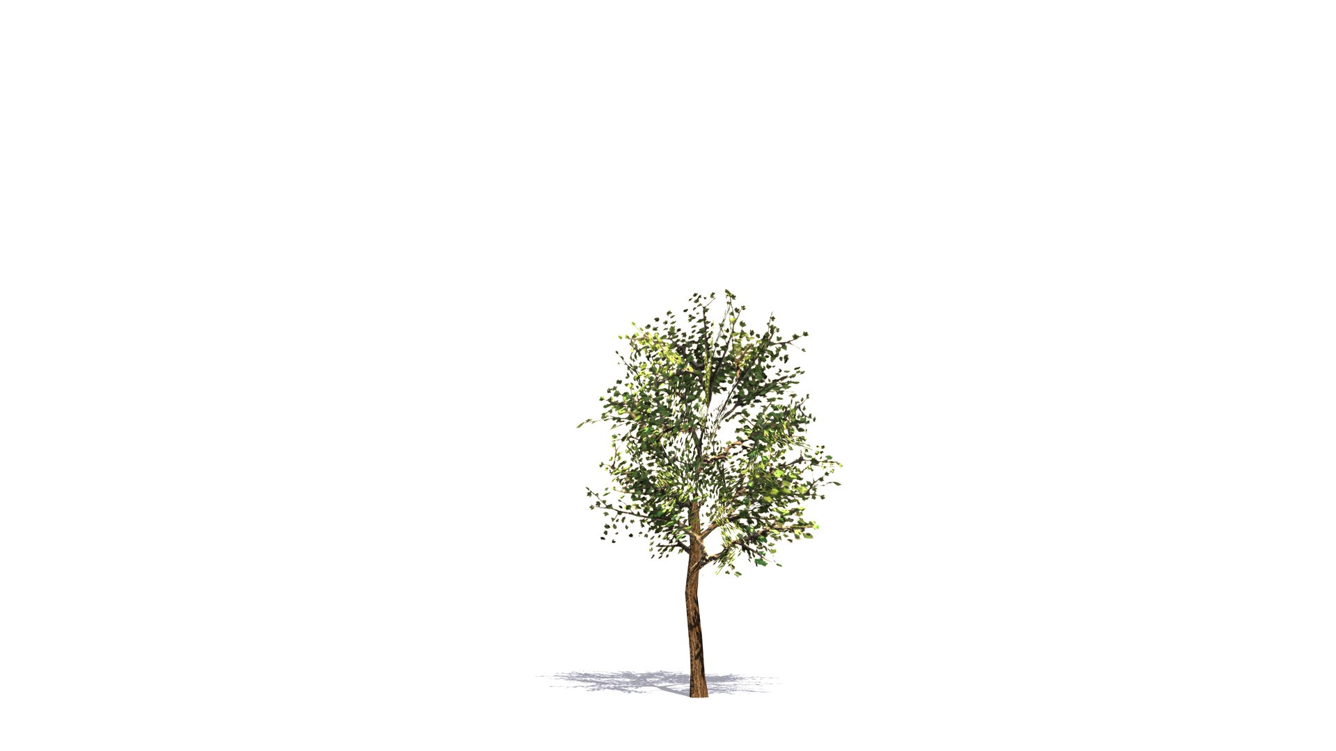 Plant Vegetation Low Poly Game Ready model https://p.turbosquid.com/ts-thumb/Ys/ZMNRio/q9/gamereadytreeasset/jpg/1670695562/1920x1080/fit_q87/bd3ca7a034afc1ab7714895d0209fa0d9bc29ef3/gamereadytreeasset.jpg