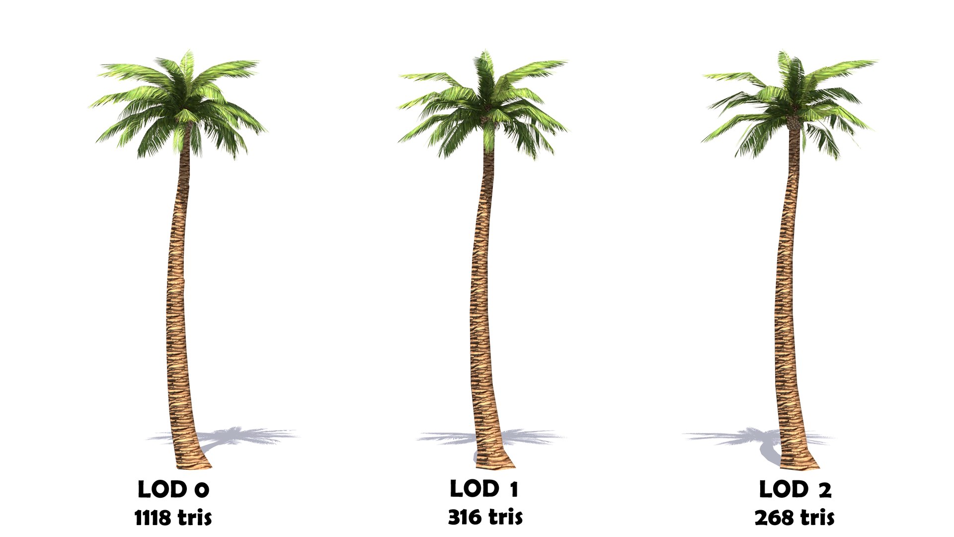 Plant Vegetation Low Poly Game Ready model https://p.turbosquid.com/ts-thumb/Ys/ZMNRio/yb/lowpolygamereadypalmtrees/jpg/1670695602/1920x1080/fit_q87/df04a979dbe12b1247d9b1241a8a76ab09af870c/lowpolygamereadypalmtrees.jpg