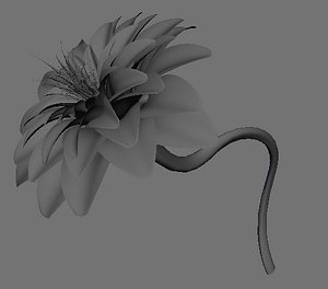 Nurbs/Poly Flower
