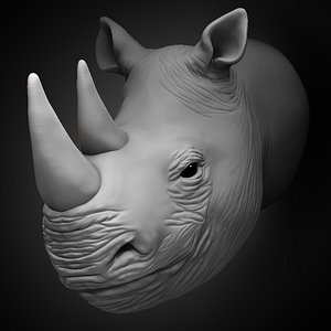 Rhino Head 2021