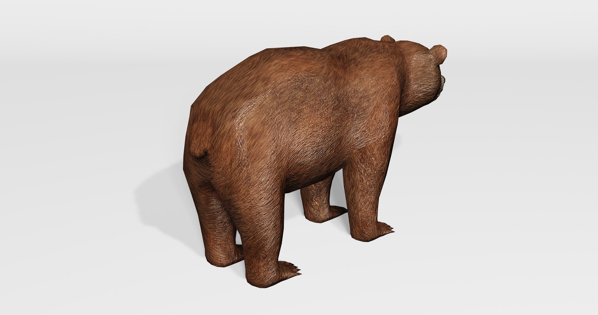 Brown Bear 3D Model - TurboSquid 1672850