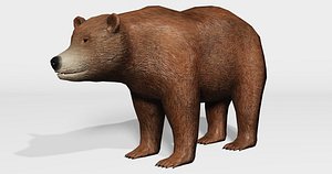 brown bear 3D model
