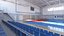 Handball  Arena 2
