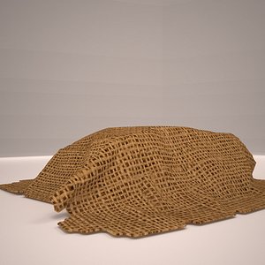 burlap 3D