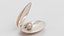 3D Clams with Pearls
