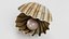 3D Clams with Pearls