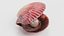 3D Clams with Pearls