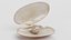 3D Clams with Pearls
