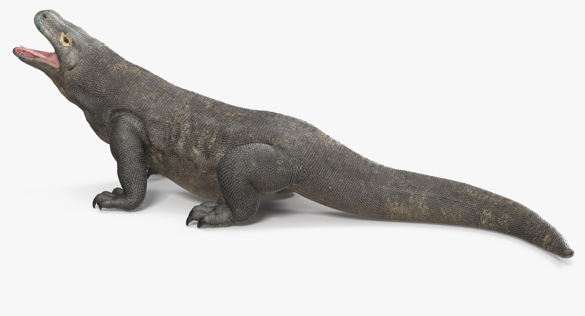 Lizards Collection 3 model https://p.turbosquid.com/ts-thumb/Yt/N7i13o/A7/lizardscollection33dmodel007/jpg/1664528812/1920x1080/fit_q87/75f0e0c9a0b9de9ed4d63da7b83579946f8e0359/lizardscollection33dmodel007.jpg