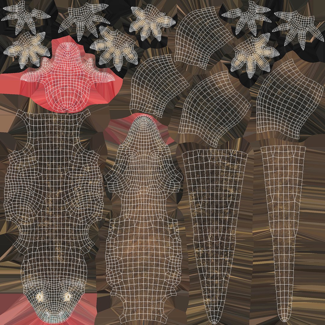 Lizards Collection 3 model https://p.turbosquid.com/ts-thumb/Yt/N7i13o/Gv/lizardscollection33dmodel023/jpg/1664528876/1920x1080/fit_q87/29d8bc60bd842aa8ca3b8ce8670a77fa4bd71e81/lizardscollection33dmodel023.jpg